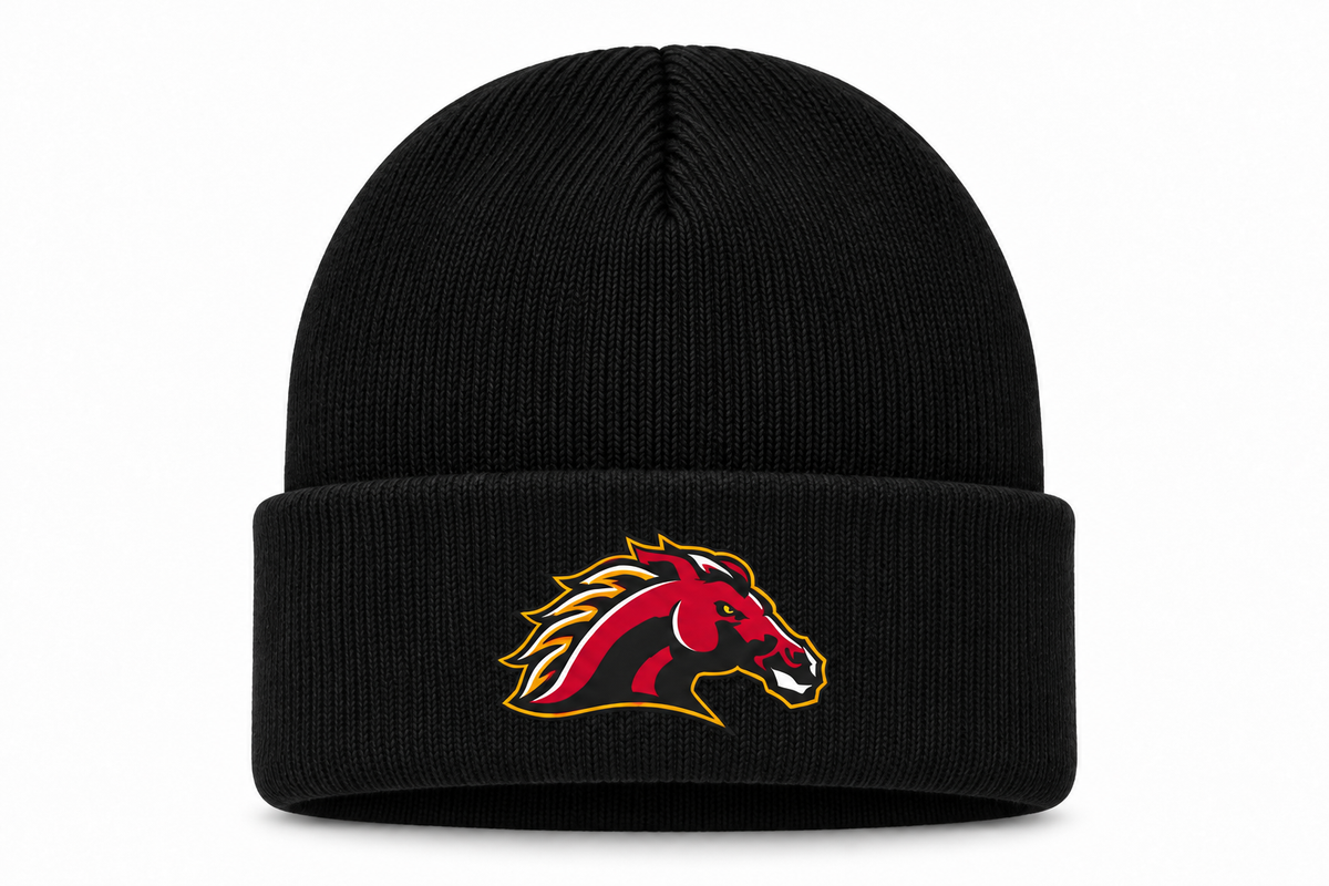 PATCH TOQUE